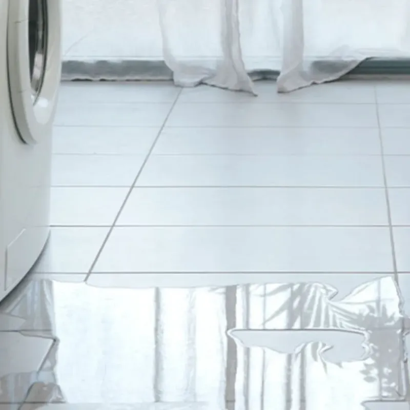 Appliance Leak Cleanup in Graves County, KY