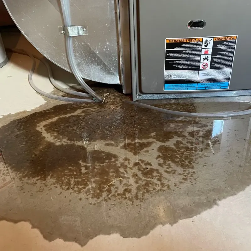 Pipe Burst and Leak Restoration in Graves County, KY