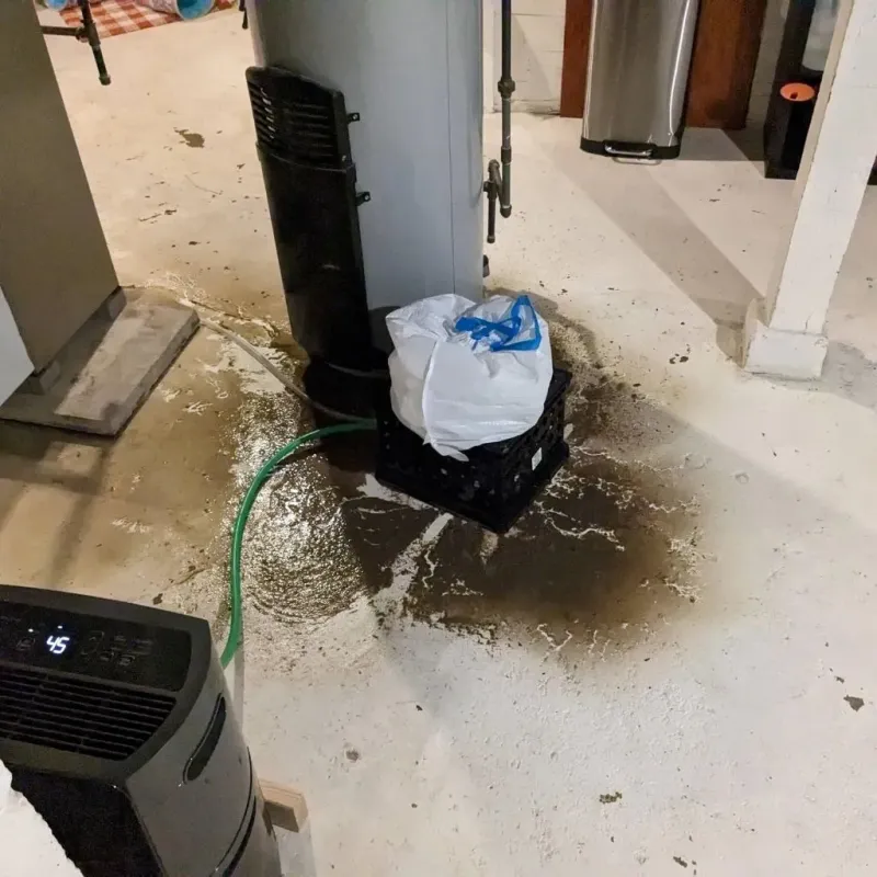 Sewage Backup Cleanup Service in Graves County, KY